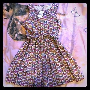 NEW Adorable butterfly print dress! 🦋